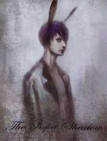 完美阴影