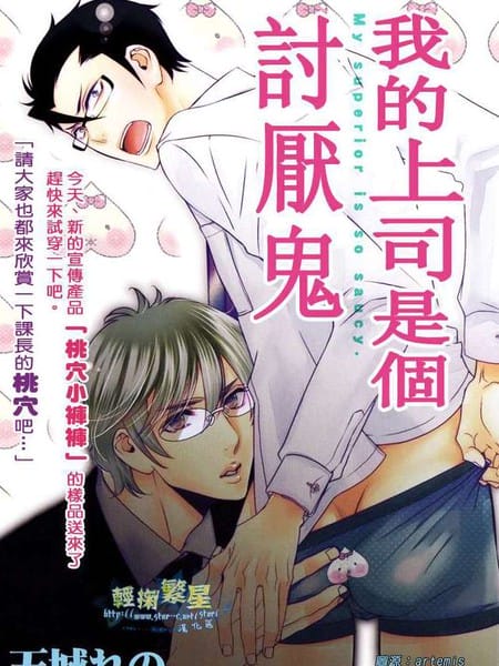我的上司是个讨厌鬼